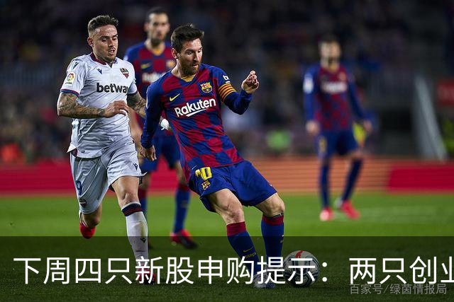 下周四只新股申购提示：两只创业板发行规模较大