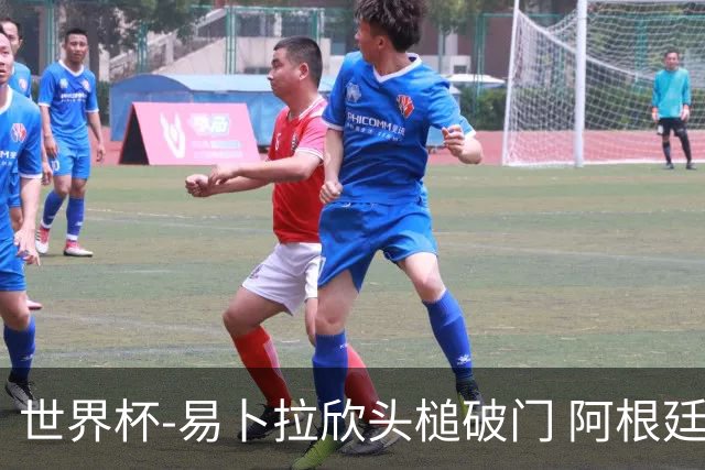 世界杯-易卜拉欣头槌破门 阿根廷失点半场0-1落后埃及