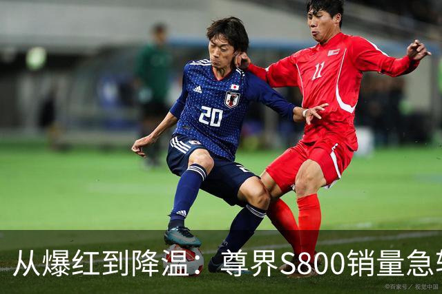从爆红到降温：尊界S800销量急转的来龙去脉