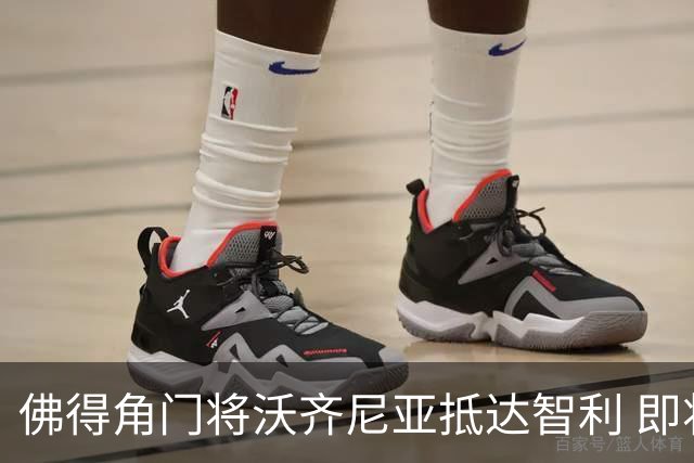 佛得角门将沃齐尼亚抵达智利 即将加盟联赛豪门(组图)