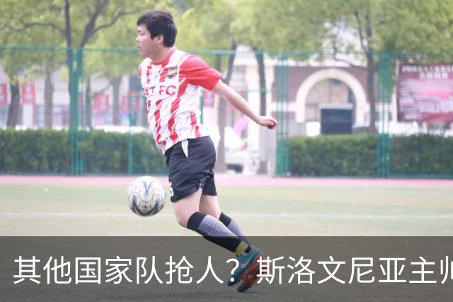 其他国家队抢人？斯洛文尼亚主帅：会在合适的时候召入托帕洛维奇