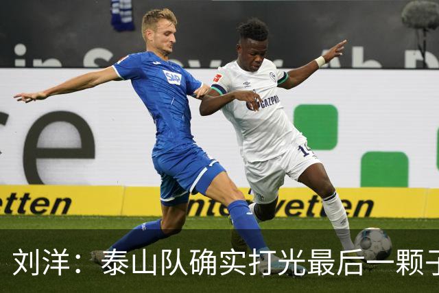 刘洋：泰山队确实打光最后一颗子弹，可以踢的人几乎都上场了