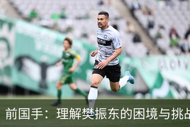前国手：理解樊振东的困境与挑战