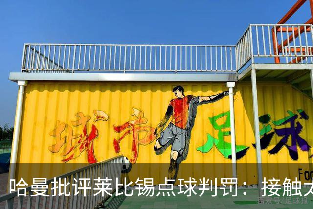 哈曼批评莱比锡点球判罚：接触太轻微