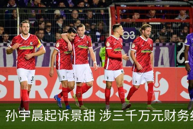 孙宇晨起诉景甜 涉三千万元财务纠纷