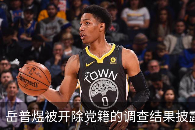 岳普煜被开除党籍的调查结果披露