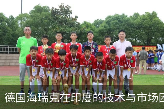 德国海瑞克在印度的技术与市场困局分析