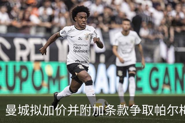 曼城拟加价并附加条款争取帕尔梅拉斯主力阿兰