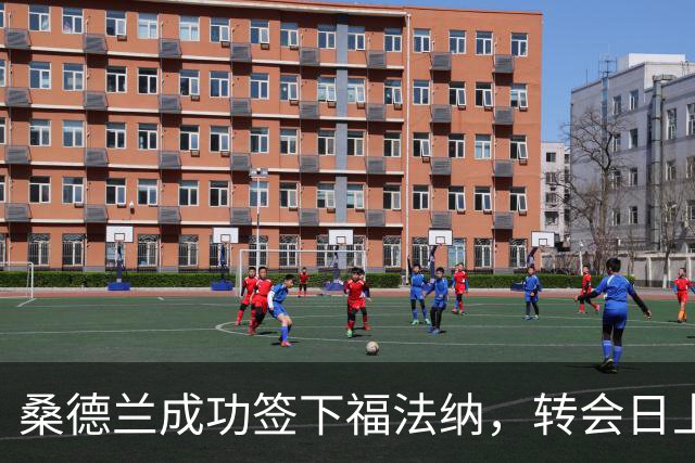 桑德兰成功签下福法纳，转会日上演紧张戏码