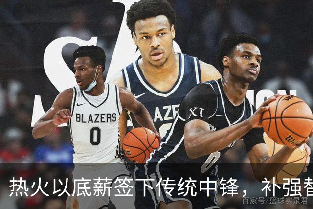 热火以底薪签下传统中锋，补强替补内线