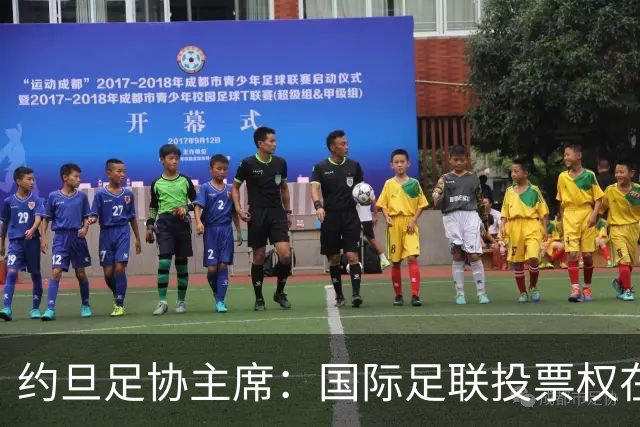 约旦足协主席：国际足联投票权在各会员协会手中
