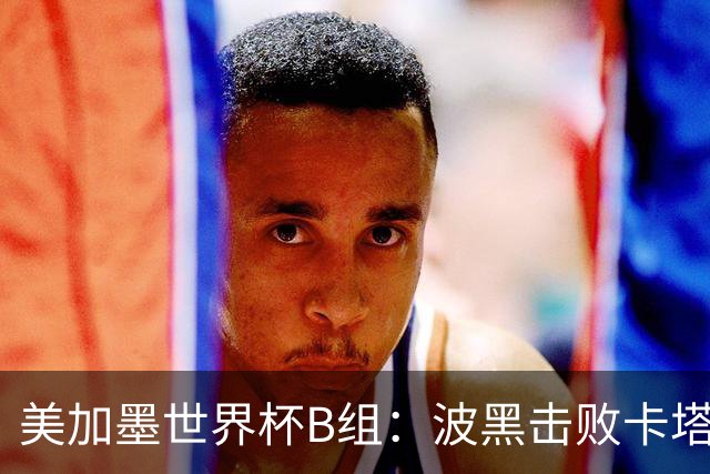 美加墨世界杯B组：波黑击败卡塔尔