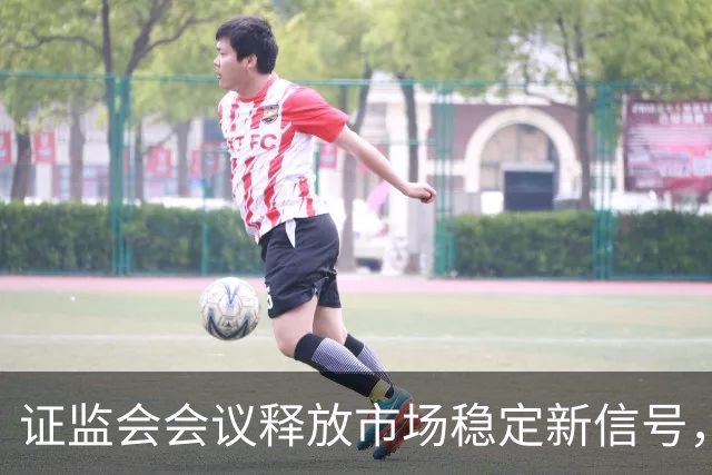 证监会会议释放市场稳定新信号，强调内部治理重要性