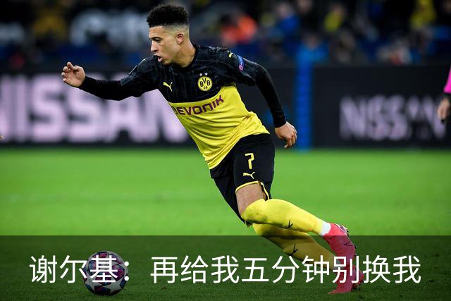 谢尔基：再给我五分钟别换我