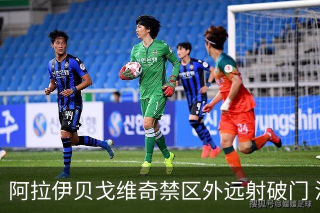 阿拉伊贝戈维奇禁区外远射破门 波黑暂1-0领先卡塔尔