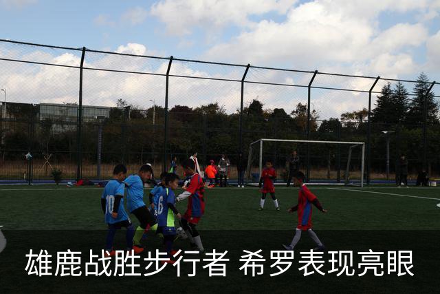雄鹿战胜步行者 希罗表现亮眼