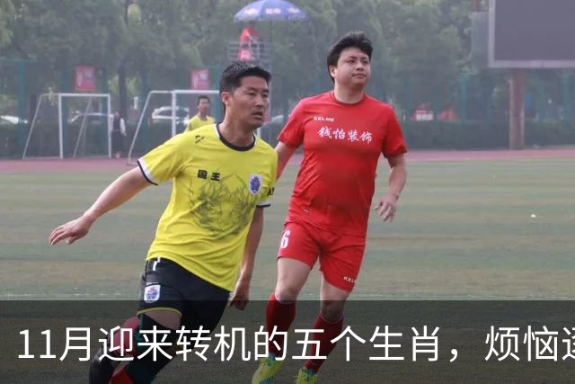 11月迎来转机的五个生肖，烦恼逐渐消散，财富与爱情纷至沓来