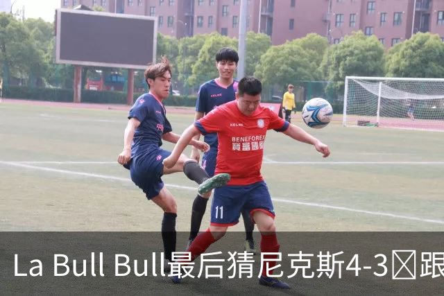 La Bull Bull最后猜尼克斯4-3😆跟Air Corgi的预测完全相反🤔