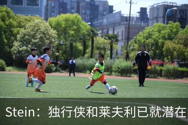Stein：独行侠和莱夫利已就潜在的提前续约开启早期谈判